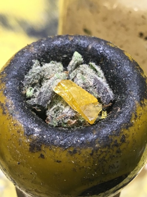 cometsalsa:This bowl was 🔥