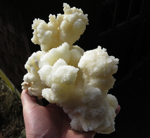 Pearl calcite / Aragonite stalactite. Le Cueva de la Chivas Mine in Santa Eulalia, Mexicowww.etsy.co