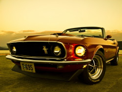 beardbrand:  1969 Mustang convertible via kahzu 
