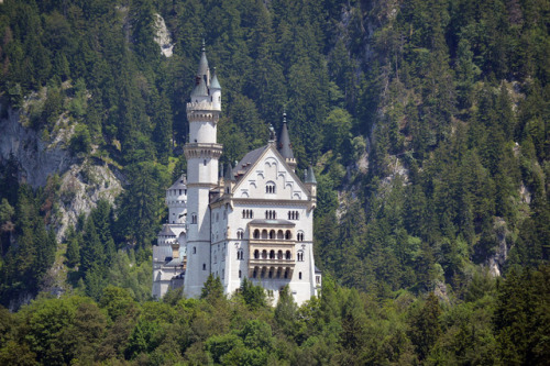 allthingseurope:  Neuschwanstein Castle, Germany (By fotomanni)