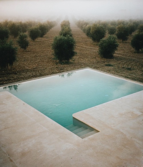 design-art-architecture - Mallorca@agroturisme_gossalba Photo...