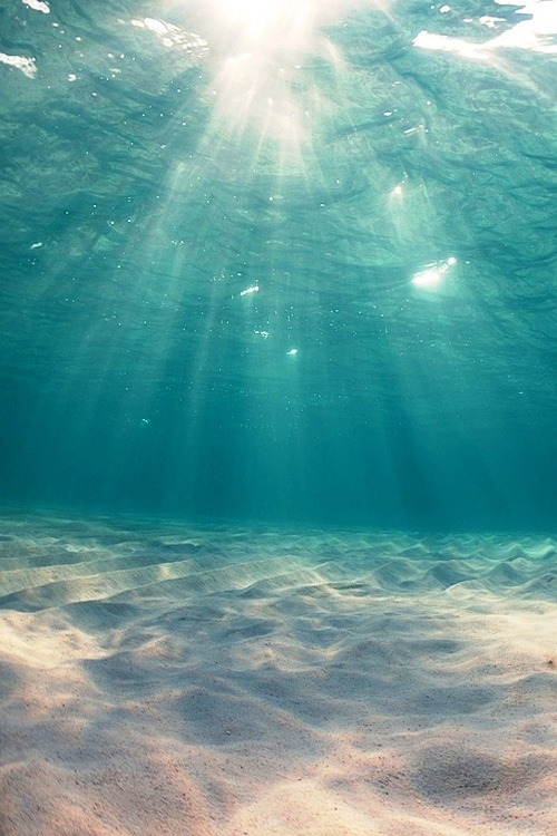 okiepokey:  See the light.