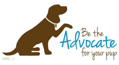 Again&hellip;so important to advocate and speak up for your pup! No one else will do it. They re