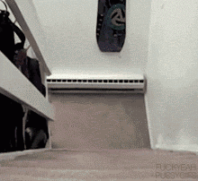 catsdogsgifs:  More Funny GIFs here