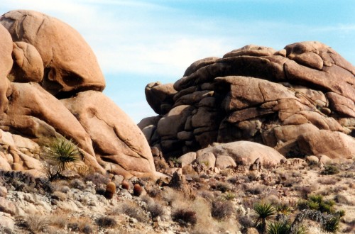 Rocks and Small Yuccas, Joshua Tree National Park, 1994.It was not yet a National Park when this pho