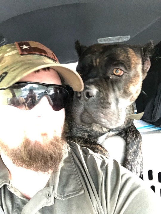 Wheels rolling and I’m NYC bound with little Bella! A very excited buyer and family waiting for this little bundle of love and I can’t blame them ❤️