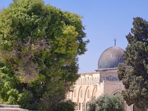 jerusalem