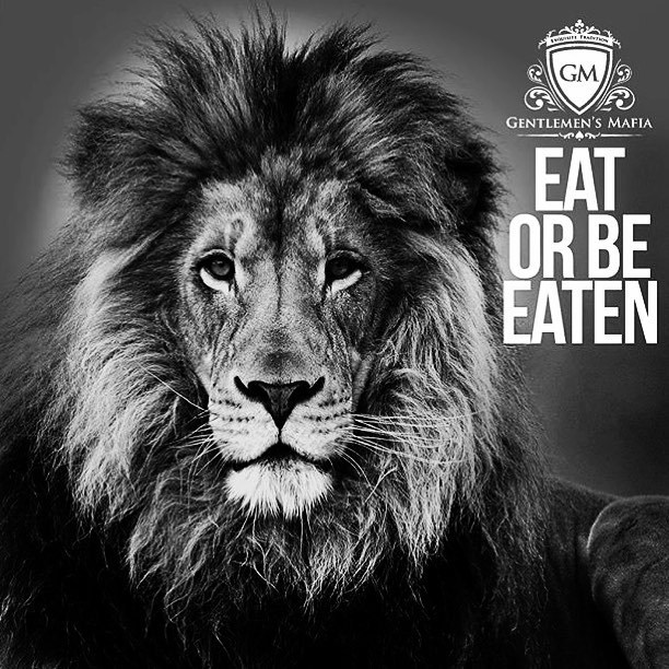 pic Motivation Hungry For Success Quotes motivation motivational inspire