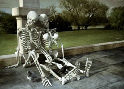 helyon:  daemontool:  straight people are terrifying they can go as far as to give the girl skeleton a pair of bone titties to indicate its a straight relationship  Oh my fucking god  and the skeletons are actually two male human skeletons (the hip bones