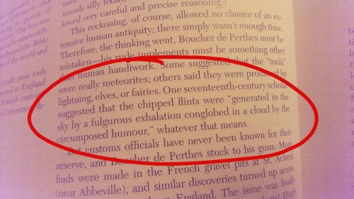 mymotheristherepublic:My archeology textbook is getting snippy.