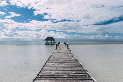 Isla De Holbox