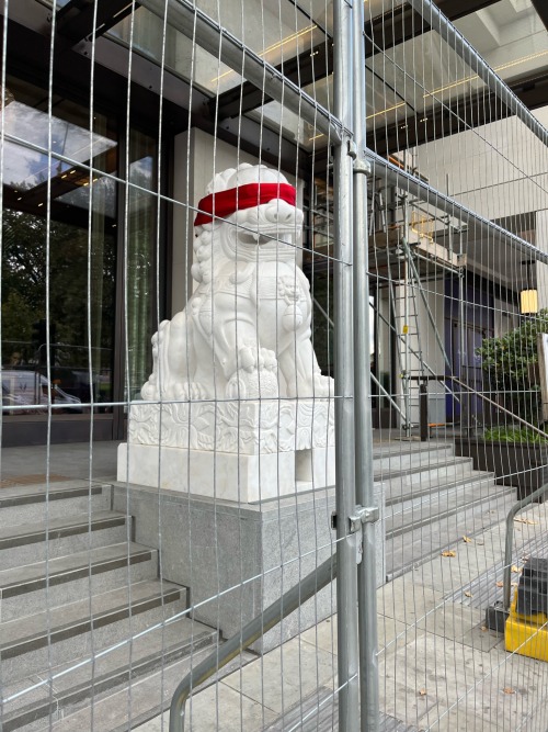 Free Him!!