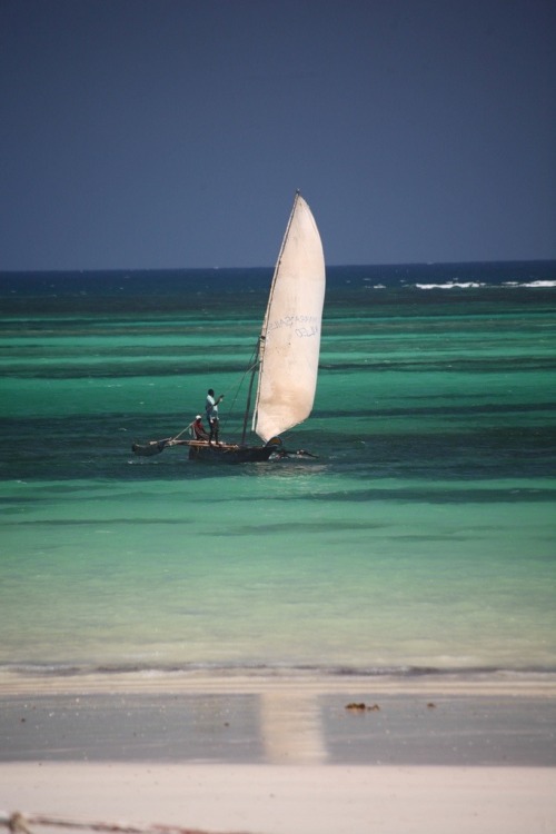 sandylamu:  Zanzibar porn pictures