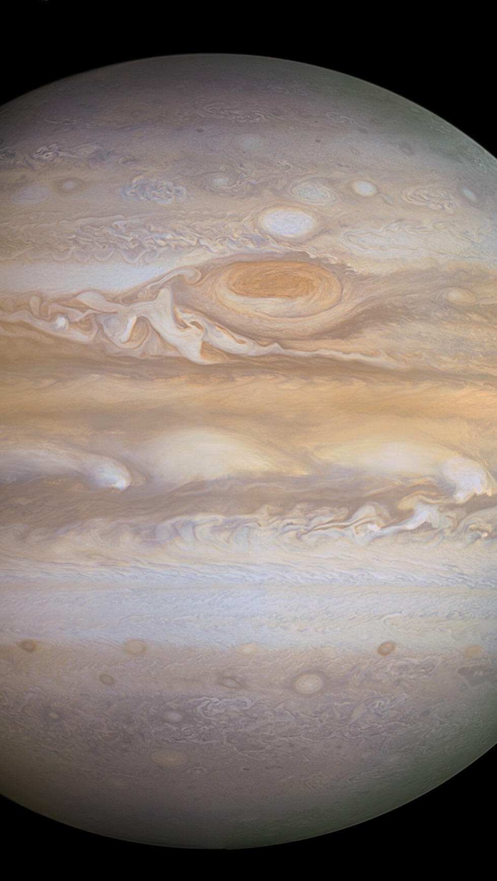 thedemon-hauntedworld:  Jupiter from Voyager 1 Processing: Roberto Colombari Data: