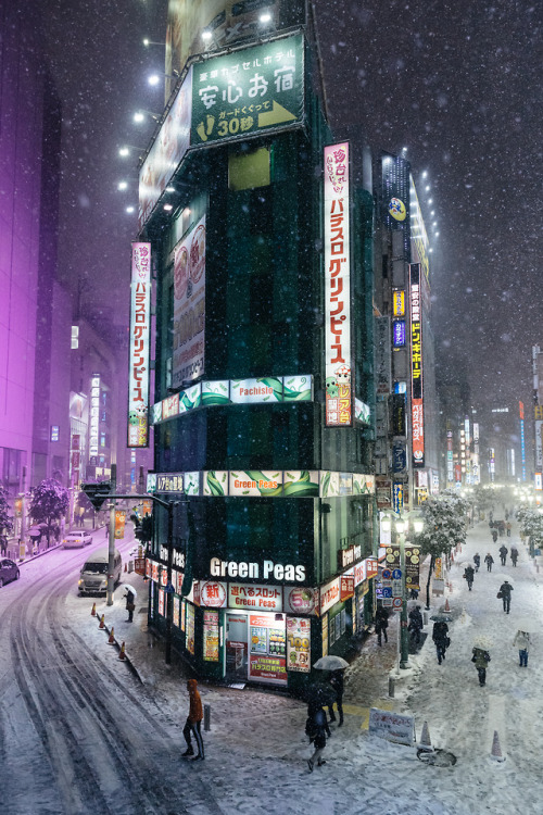 Snow in Shinjuku, Tokyo  instagram : @446ihttps://www.446i-jp.com/