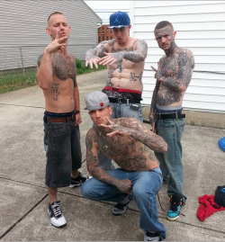 White Trash•Wiggers•White Thugs·