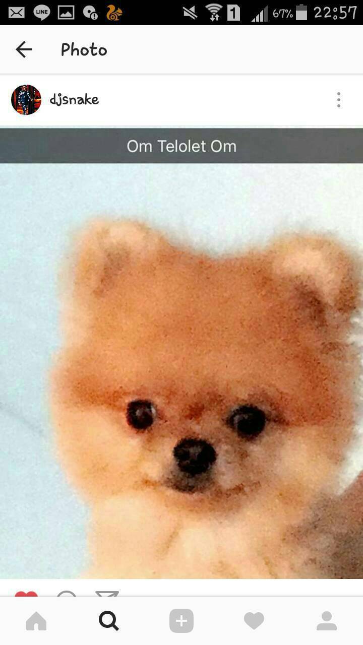 athalia-cavallone: OM TELOLET OM 