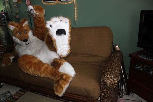 Sexy poses and paws.. ;)Not a murrsuit.
