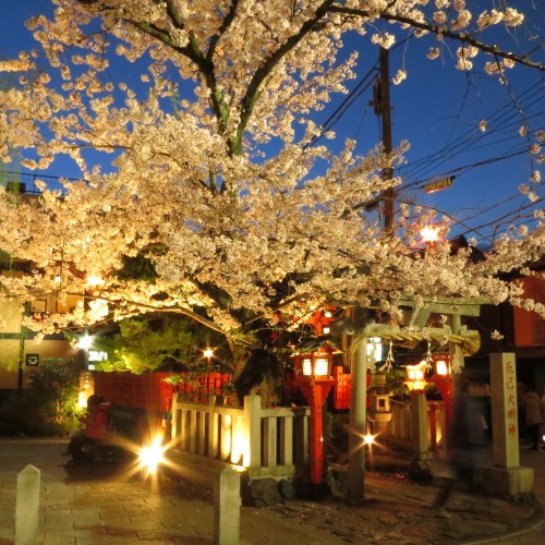 at Shimbashi street in Kyoto