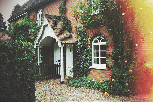 Blog image