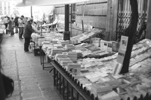 Street food and books in Mexico City