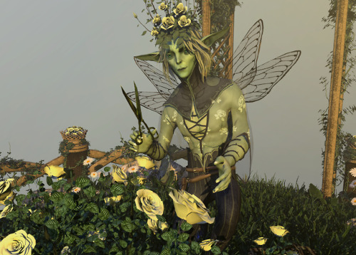 Every morning he arrived to tend the flowering buds&hellip;&mdash;The Rose Faerie is a combination p