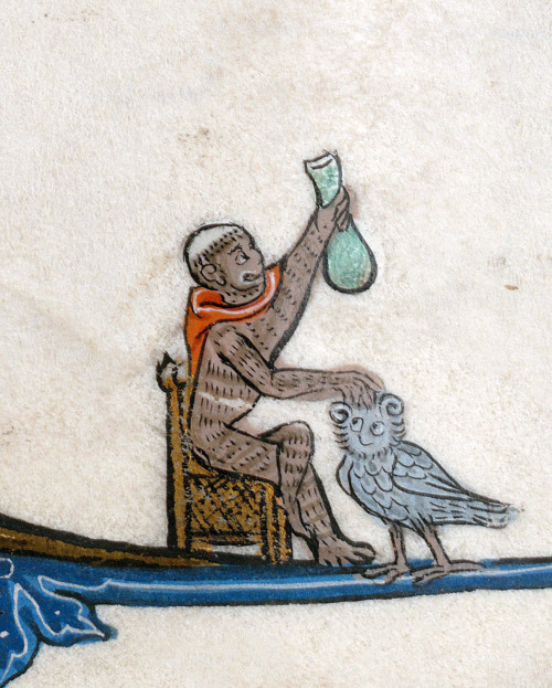 doctor monkey examining an owlbook of hours, Arras ca. 1296-1311Cambrai, BM, ms. 87, fol. 138r