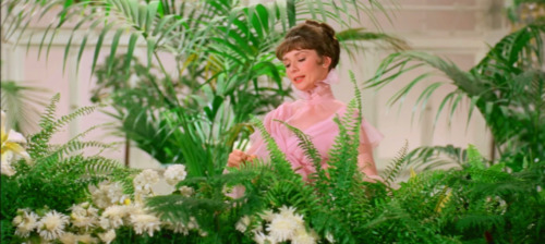 The Flower Girl Becomes A Flower. They Thought Eliza Was An Unsightly Weed, But All She Needed Was The