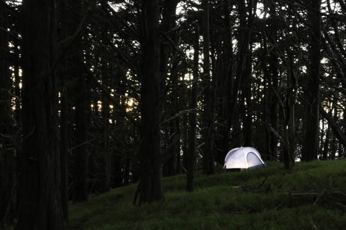 Isolated.