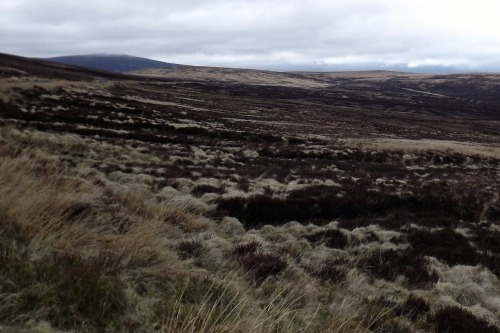 Sally Gap, Wicklow Mountains, Ireland, 2014.