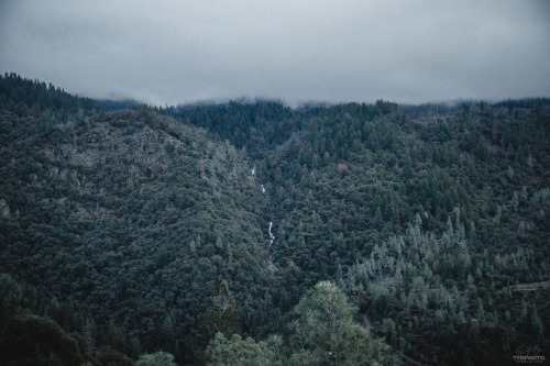 tyrphoto:  All that rain we got made a little waterfall in Paradise, CA. It was so calming to hear the water falling from across the valley.