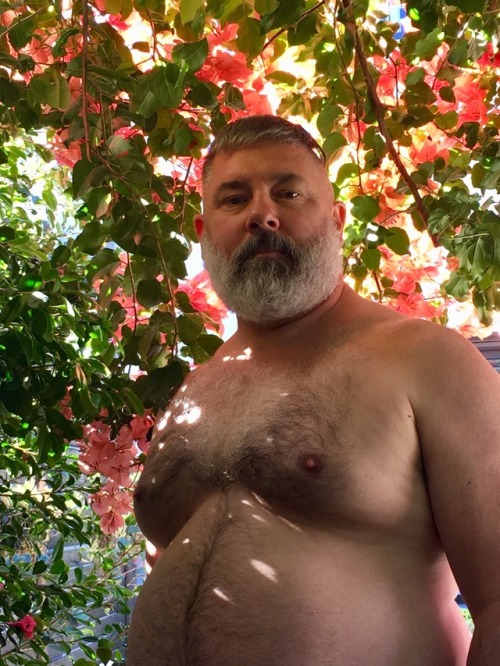 hvyw8: In the garden 2.0