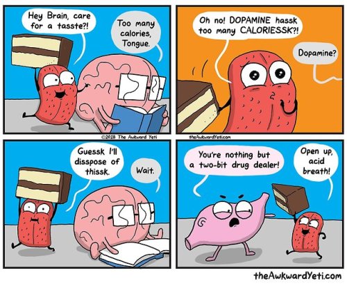 [@theawkwardyeti]