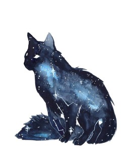 satvrnd: Space cat