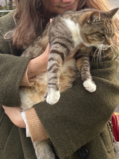 Wandering In Bookshops And Hanging Out With Cats Brings Me So Much Joy! I Propose We All Get Together