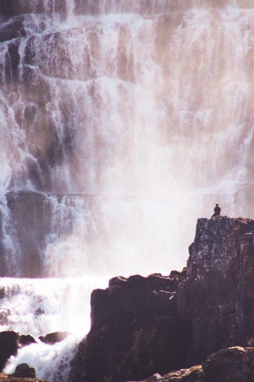 ilaurens:Mighty Cascades - By: (Lizzy Gadd)