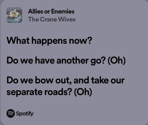 A Collection Of Some Of My Favorite Crane Wives Lyrics That I Feel Like Were Written With Brocedes In