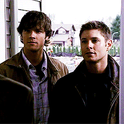 goredviscera:  supernatural one gif set per an episode  1x08: Bugs  