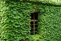 mentalflossr:  An Abandoned Chinese Village