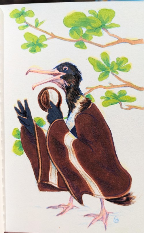 Avian August Day 14 - Christmas Frigatebird With Half Moon Cookie