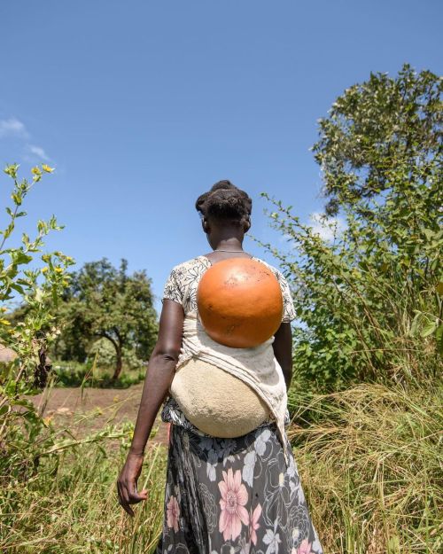 Among the Acoli and Lango peoples of Northern Uganda, the calabash isn’t only a water vessel but als