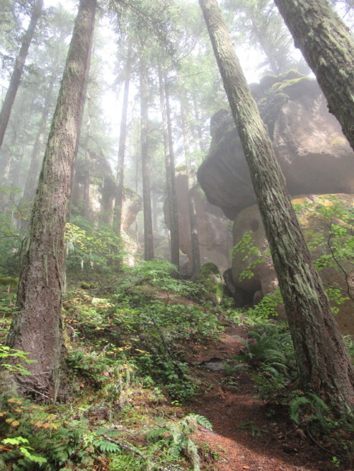 deanschlichting:Rocks and Mist, Joe’s trail, Willamette National Forest, Oregon USA