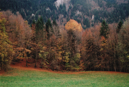 Promenades, octobre 2017