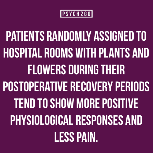 psych2go:  If you like these posts, check out psych2go.