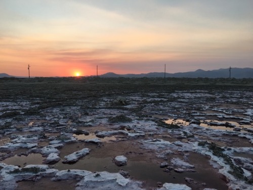 shinykid:Pink Halite dig in Trona, California last weekend