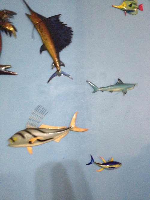 adapto:  coral36:  mexico u cool 🎣  👀✨