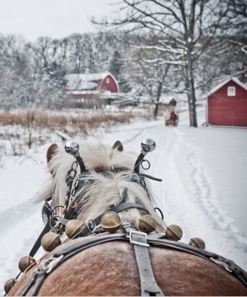 Pillaged - Sleigh Ride.  Over the river and through the woods, to grandmothers house