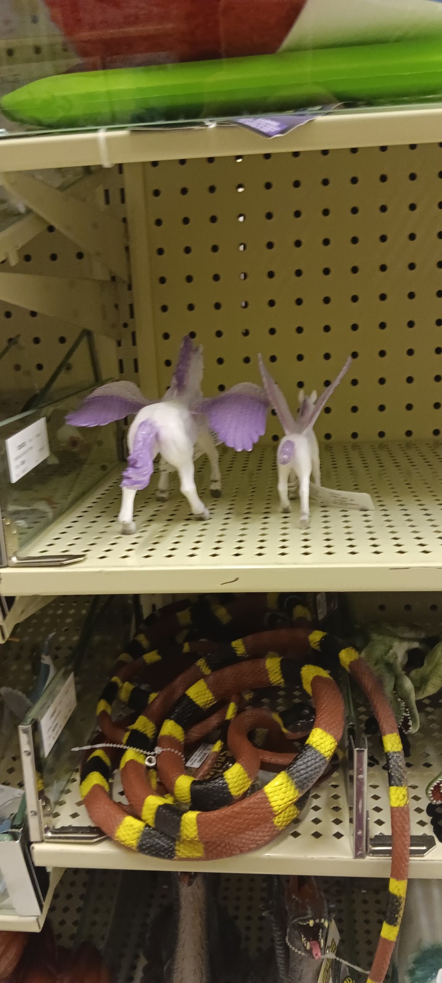 Unicorns And Pegasus 