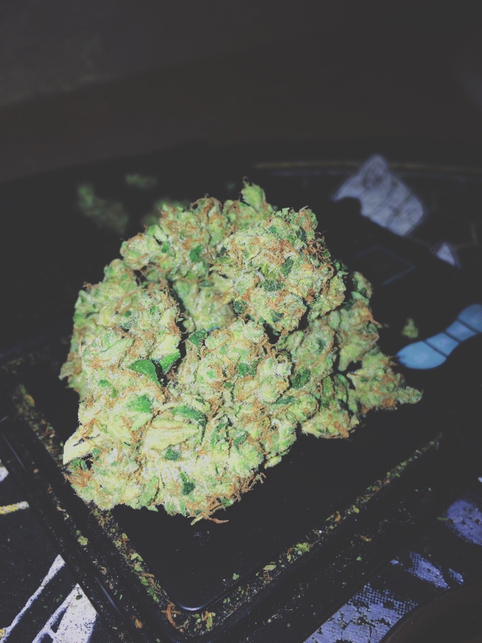 koukis-and-milk:  ⛽️