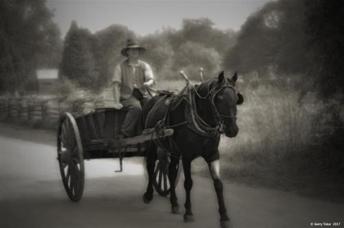 Horse and Cart…Upper Canada Village, ON. Canada. ~ Coast to Coast ~ Shades of Black & Whi